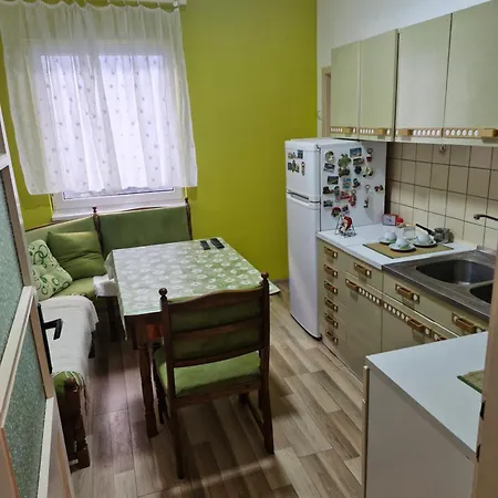 Dis Apartment Vrsac